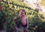 Manon in vines