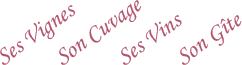 Ses Vignes - Son Cuvage - Ses Vins - Son G&icirc;te