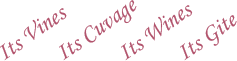 Its vines - Its cuvage - Its wines - Its gite