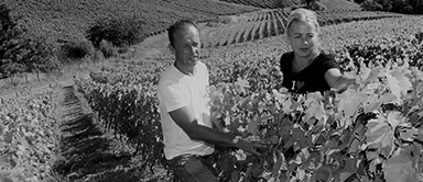 Beaujolais Villages - Domaine des Arbins - Cave Lathuilière